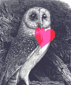 Lucinda's Barn Owl Heart Card New