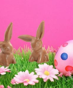 Lucinda's Hammond's Chocolate Bunny