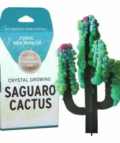 Lucinda's Crystal Growing Saguaro Cactus Kit New