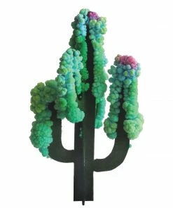 Lucinda's Crystal Growing Saguaro Cactus Kit New