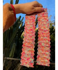 Lucinda's New Best Friends Hair Clips