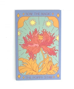 Lucinda's New Sow The Magic Poppy Seed Packet 10 Lucinda's New Sow The Magic Poppy Seed Packet