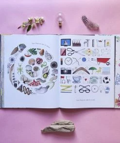 Lucinda's If You Come To Earth Book