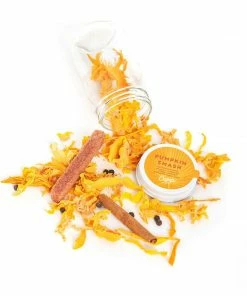 Lucinda's New Pumpkin Smash Camp Craft Cocktails