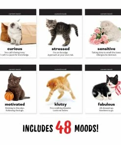 Lucinda's Daily Cattitudes 8 Lucinda's Daily Cattitudes