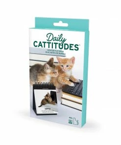 Lucinda's Daily Cattitudes