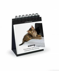 Lucinda's Daily Cattitudes