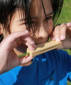 Lucinda's New Grass Whistle 8 Lucinda's New Grass Whistle