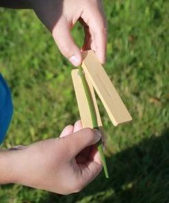 Lucinda's New Grass Whistle 9 Lucinda's New Grass Whistle