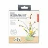Lucinda's Mini Ikebana Kit