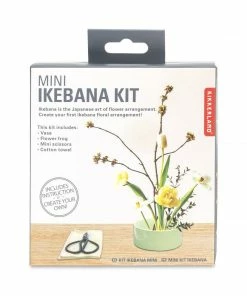 Lucinda's Mini Ikebana Kit