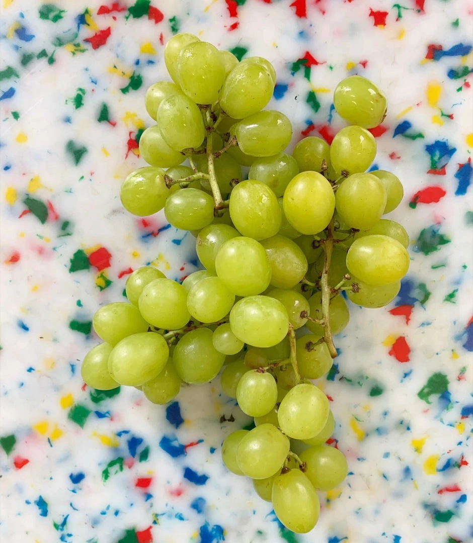 Lucinda's Confetti Multi Cutting Board 7 Lucinda's Confetti Multi Cutting Board