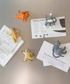 Lucinda's New Cat Yoga Magnets