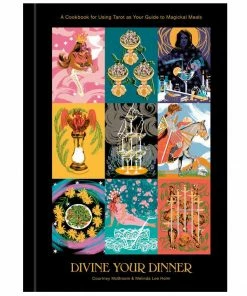 Lucinda's Divine Your Dinner Cookbook New