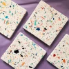 Lucinda's Terrazzo Coaster New