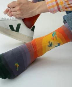 Lucinda's Sunset Birds Socks