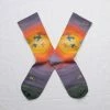 Lucinda's Sunset Birds Socks