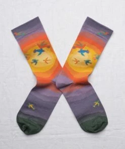 Lucinda's Sunset Birds Socks