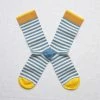 Lucinda's Blue Mustard Striped Socks New