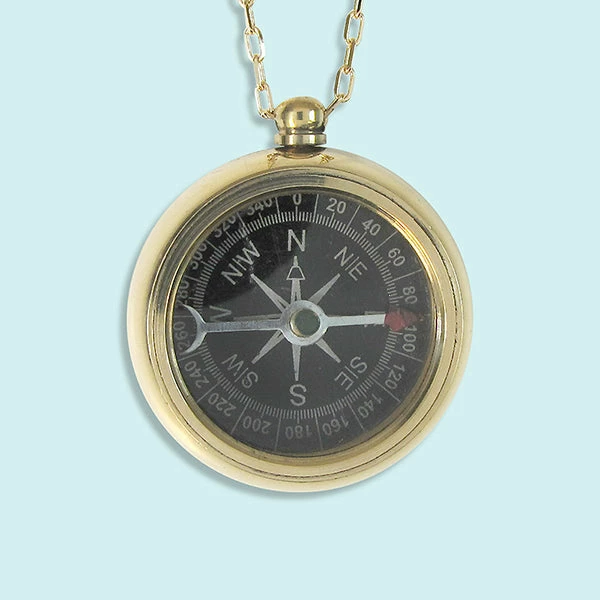 Lucinda's Trailblazer Compass Necklace New 3 Lucinda's Trailblazer Compass Necklace New