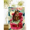 Lucinda's New Cushion Cat Birthday Card