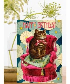 Lucinda's New Cushion Cat Birthday Card