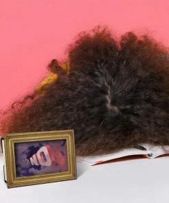 Lucinda's The Daily Shitshow New