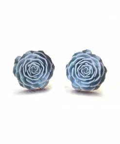 Lucinda's Echeveria Studs New