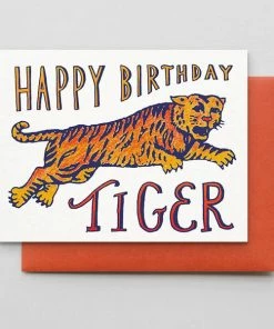 Lucinda's New Happy Birthday Tiger Card