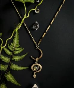 Lucinda's Immortal Serpent Necklace