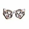 Lucinda's Playful Kitten Studs