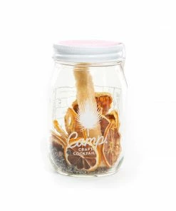 Lucinda's New Lavender Lemonade Camp Craft Cocktails