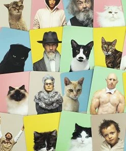 Lucinda's New Do You Look Like Your Cat? Matching Game