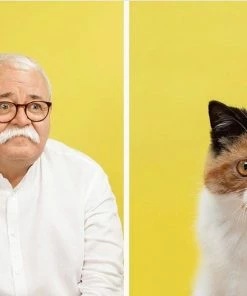 Lucinda's New Do You Look Like Your Cat? Matching Game