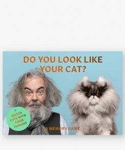 Lucinda's New Do You Look Like Your Cat? Matching Game