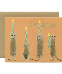 Lucinda's New Meerkat Birthday Card