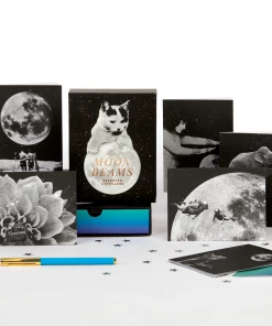 Lucinda's Moonbeams Notecard Set New