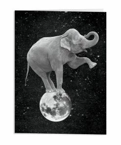 Lucinda's Moonbeams Notecard Set New