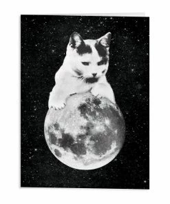 Lucinda's Moonbeams Notecard Set New