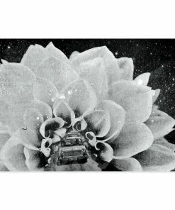 Lucinda's Moonbeams Notecard Set New