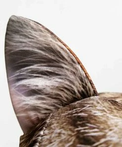 Lucinda's Cat Luggage Cover