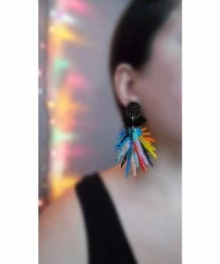 Lucinda's Rainbow & Black Statement Earrings