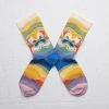 Lucinda's Rainbow Pansy Socks