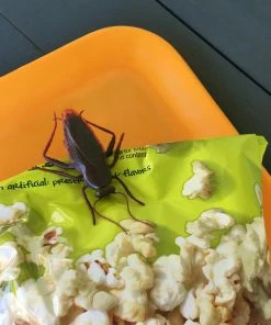 Lucinda's Roach Clips Bag Clips New