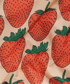 Lucinda's New Strawberry Standard Baggu