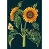 Lucinda's New Sunflower Card