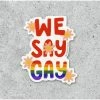 Lucinda's New We Say Gay Sticker 2 Lucinda's New We Say Gay Sticker