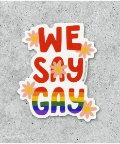Lucinda's New We Say Gay Sticker