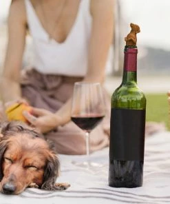 Lucinda's New Winer Dog