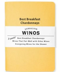 Lucinda's Journals For Winos